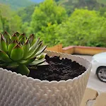 Simonan Borda Oiartzun