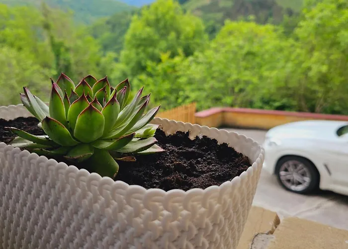 Simonan Borda Oiartzun