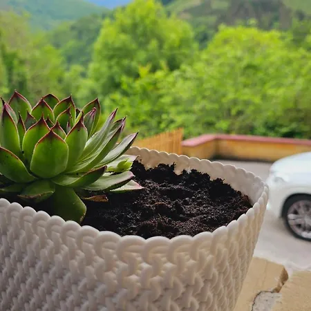 Simonan Borda Oiartzun